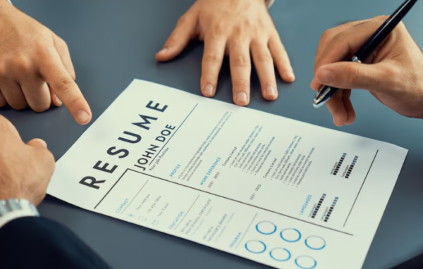 Professional CV & Career Branding <br> (per service)